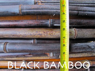 Black bamboo